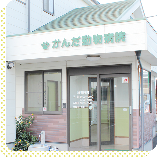末永く幸せな生活